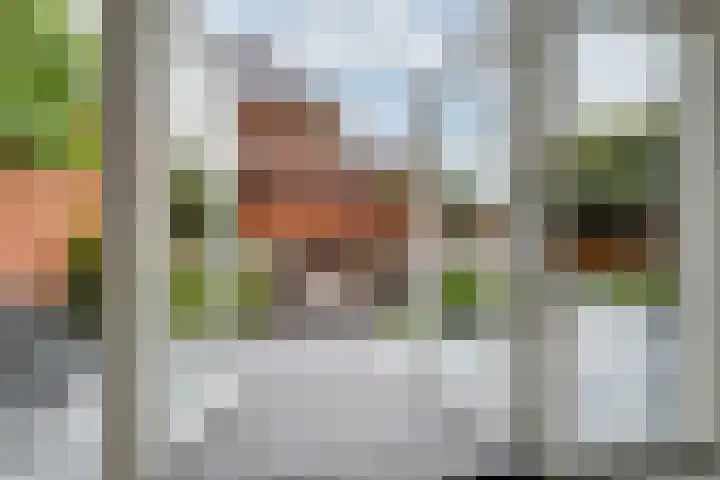 Nachtegaalstraat 4 Gaanderen thumbnail 23