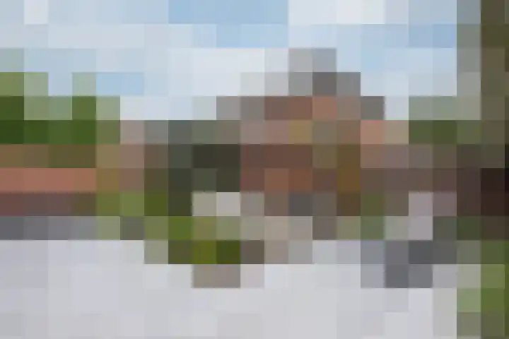 Nachtegaalstraat 4 Gaanderen thumbnail 24