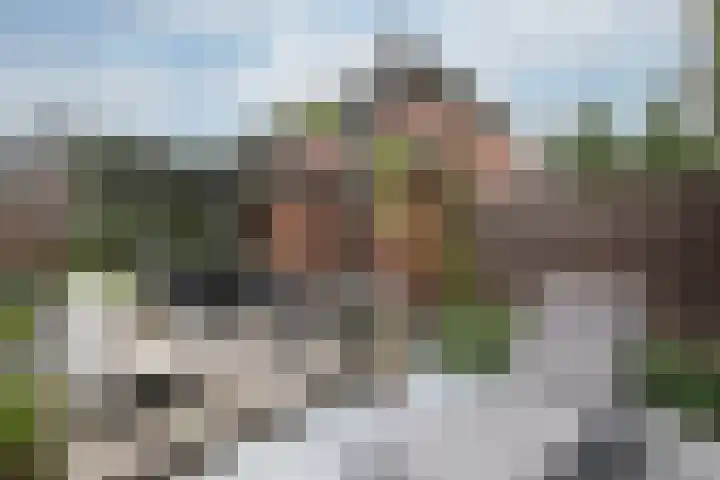 Nachtegaalstraat 4 Gaanderen thumbnail 25