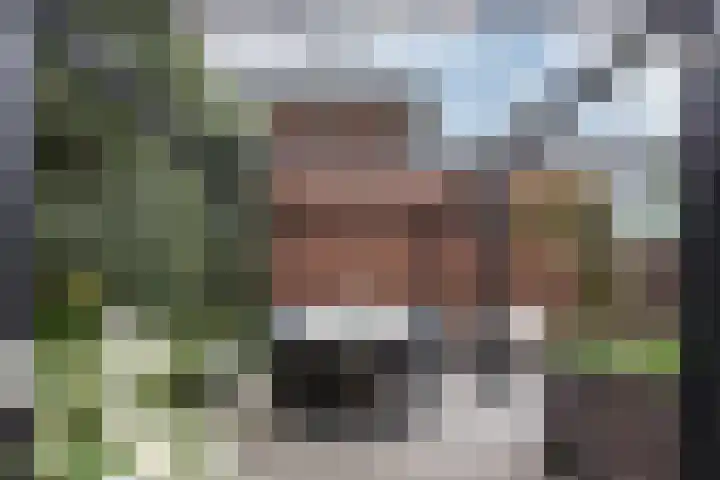 Nachtegaalstraat 4 Gaanderen thumbnail 27