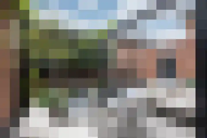 Nachtegaalstraat 4 Gaanderen thumbnail 29