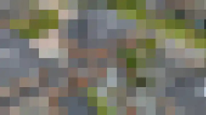 Nachtegaalstraat 4 Gaanderen thumbnail 31