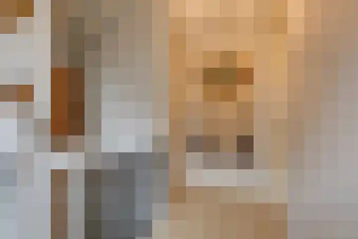 Nachtegaalstraat 4 Gaanderen thumbnail 36