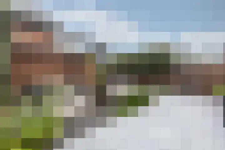 Nachtegaalstraat 4 Gaanderen thumbnail 4