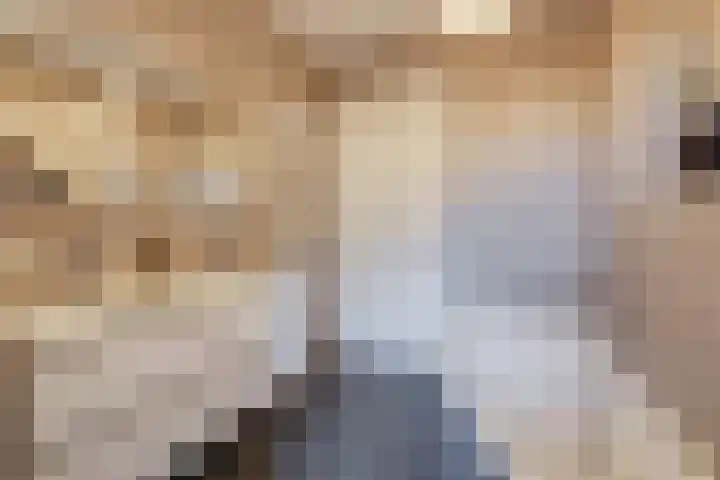 Nachtegaalstraat 4 Gaanderen thumbnail 44