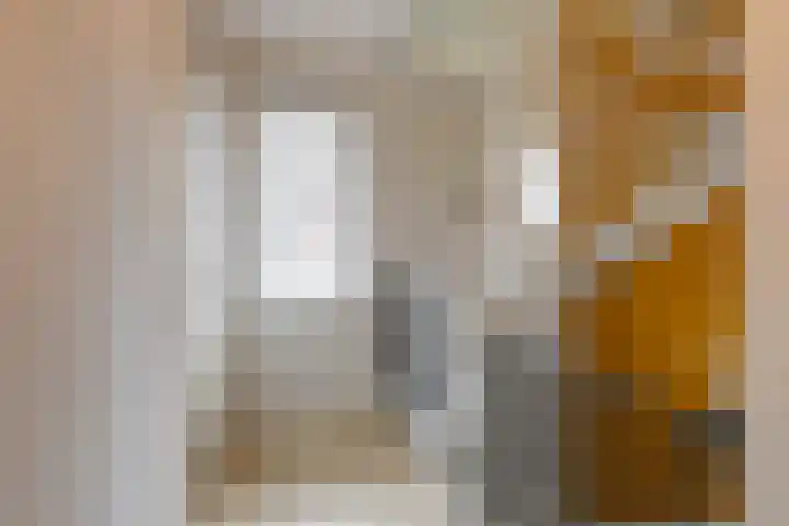 Nachtegaalstraat 4 Gaanderen thumbnail 47