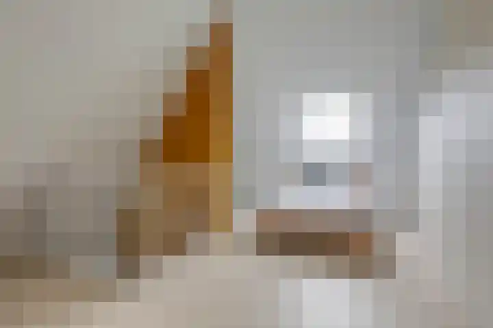 Nachtegaalstraat 4 Gaanderen thumbnail 48