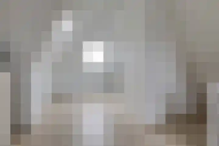 Nachtegaalstraat 4 Gaanderen thumbnail 51