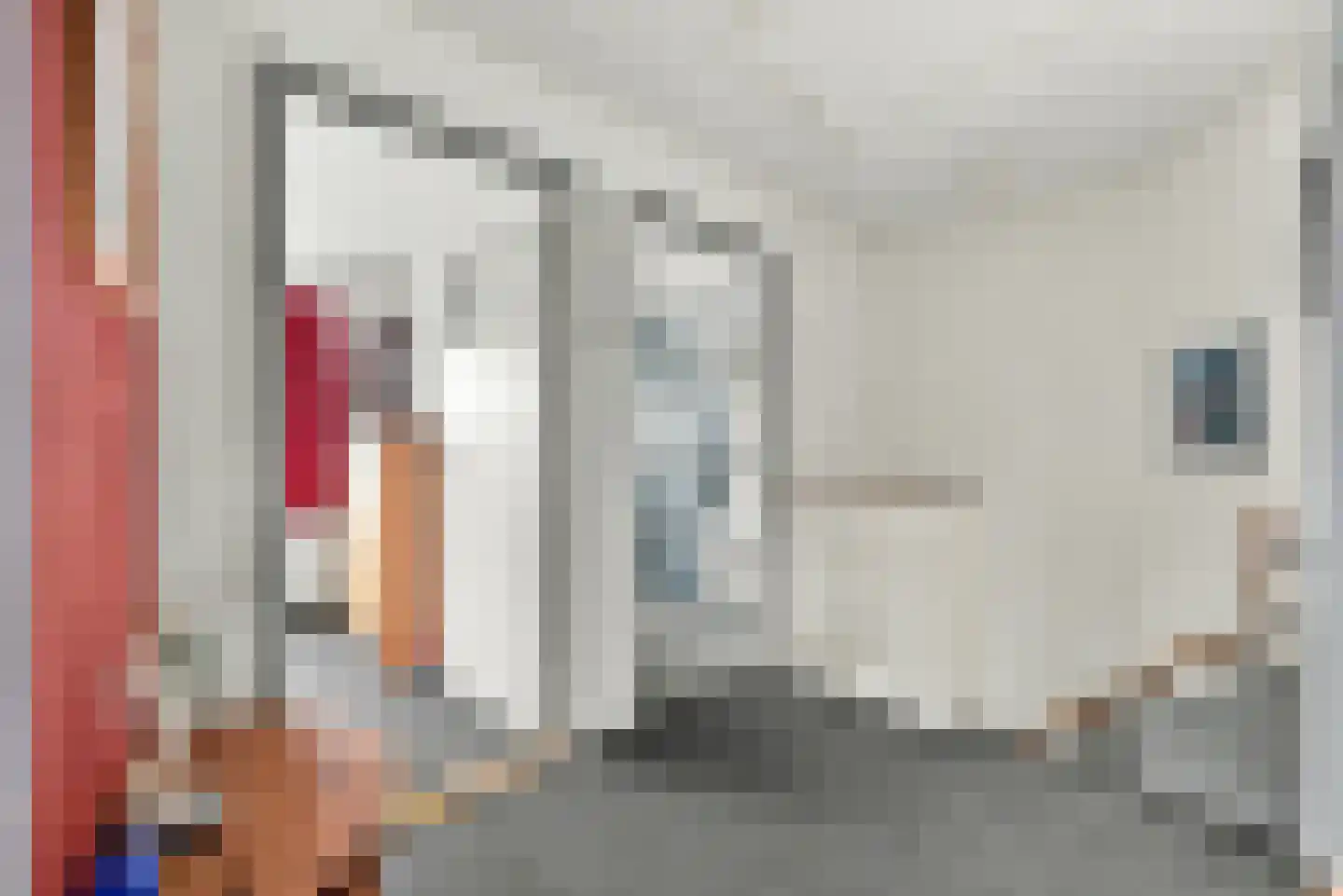 Nachtegaalstraat 4 Middelburg thumbnail 15