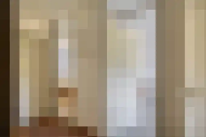 Nachtegaalstraat 4 Sommelsdijk thumbnail 17