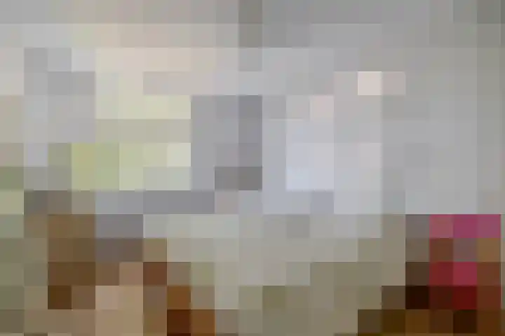 Nachtegaalstraat 4 Sommelsdijk thumbnail 18