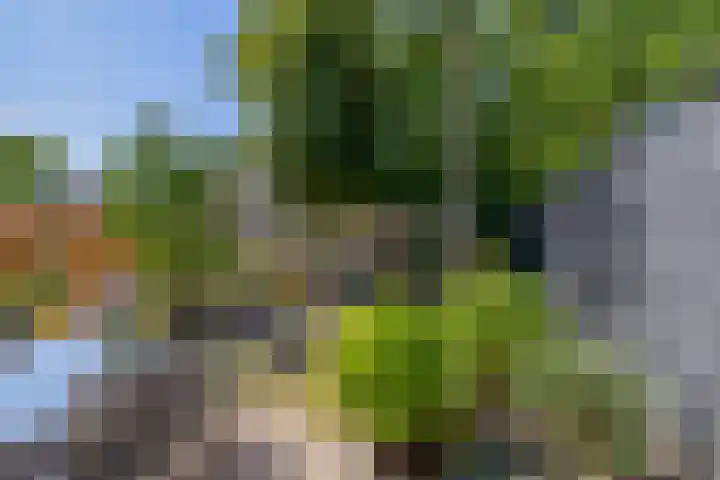 Nachtegaalstraat 4 Sommelsdijk thumbnail 31