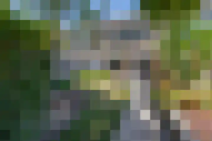 Nachtegaalstraat 4 Sommelsdijk thumbnail 32