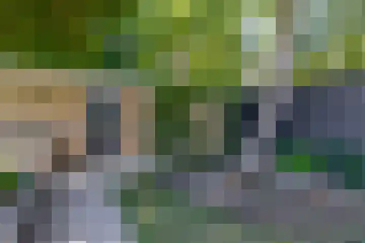 Nachtegaalstraat 4 Sommelsdijk thumbnail 33