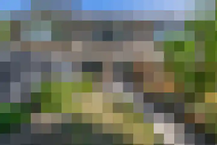 Nachtegaalstraat 4 Sommelsdijk thumbnail 34
