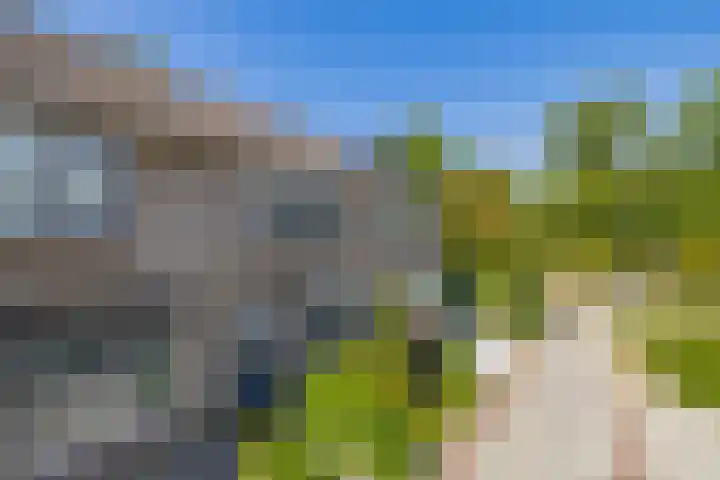 Nachtegaalstraat 4 Sommelsdijk thumbnail 4