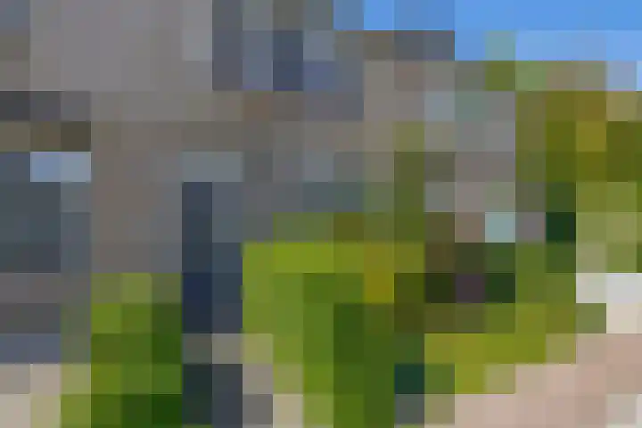 Nachtegaalstraat 4 Sommelsdijk thumbnail 5