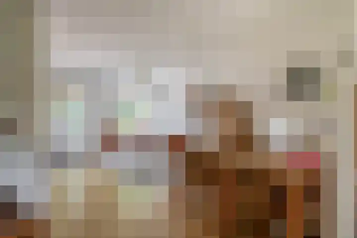 Nachtegaalstraat 4 Sommelsdijk thumbnail 8