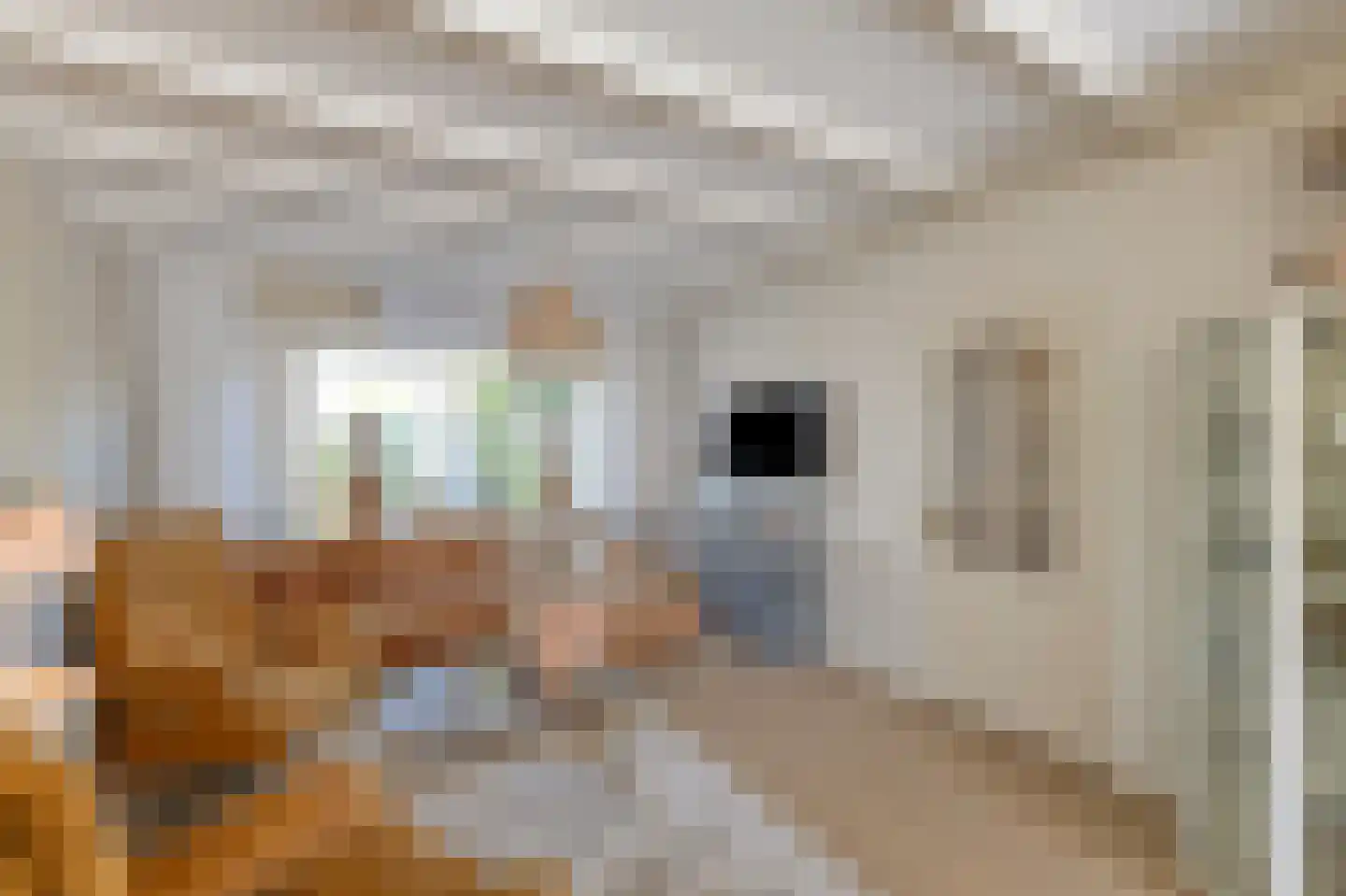 Nachtegaalstraat 4 Warmenhuizen thumbnail 10
