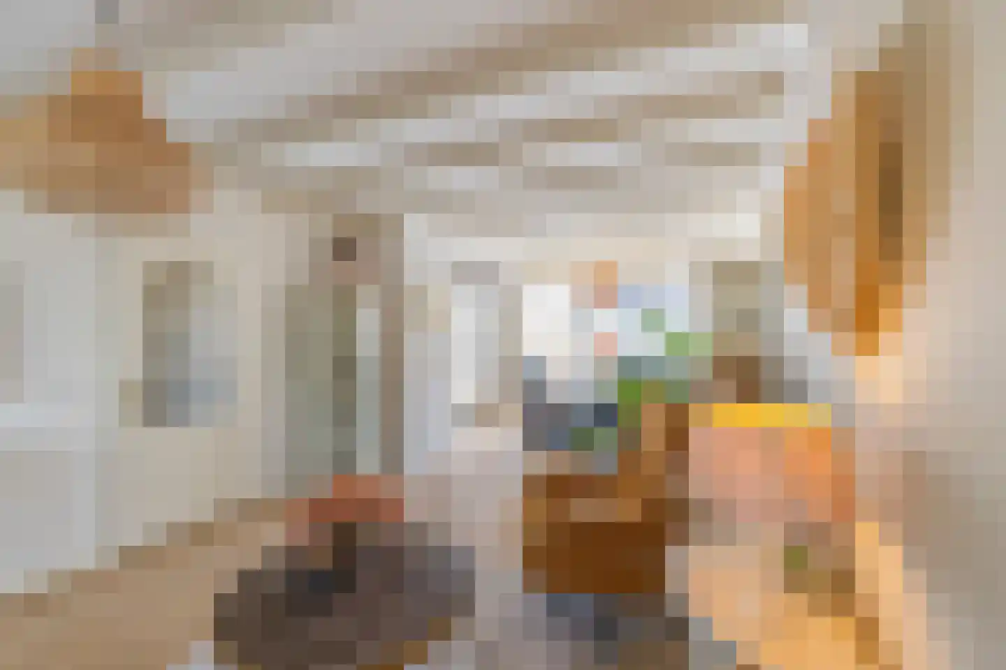 Nachtegaalstraat 4 Warmenhuizen thumbnail 11