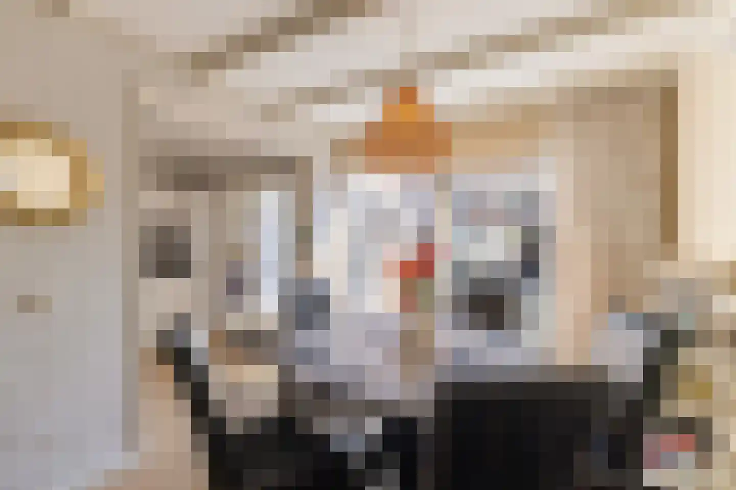 Nachtegaalstraat 4 Warmenhuizen thumbnail 13