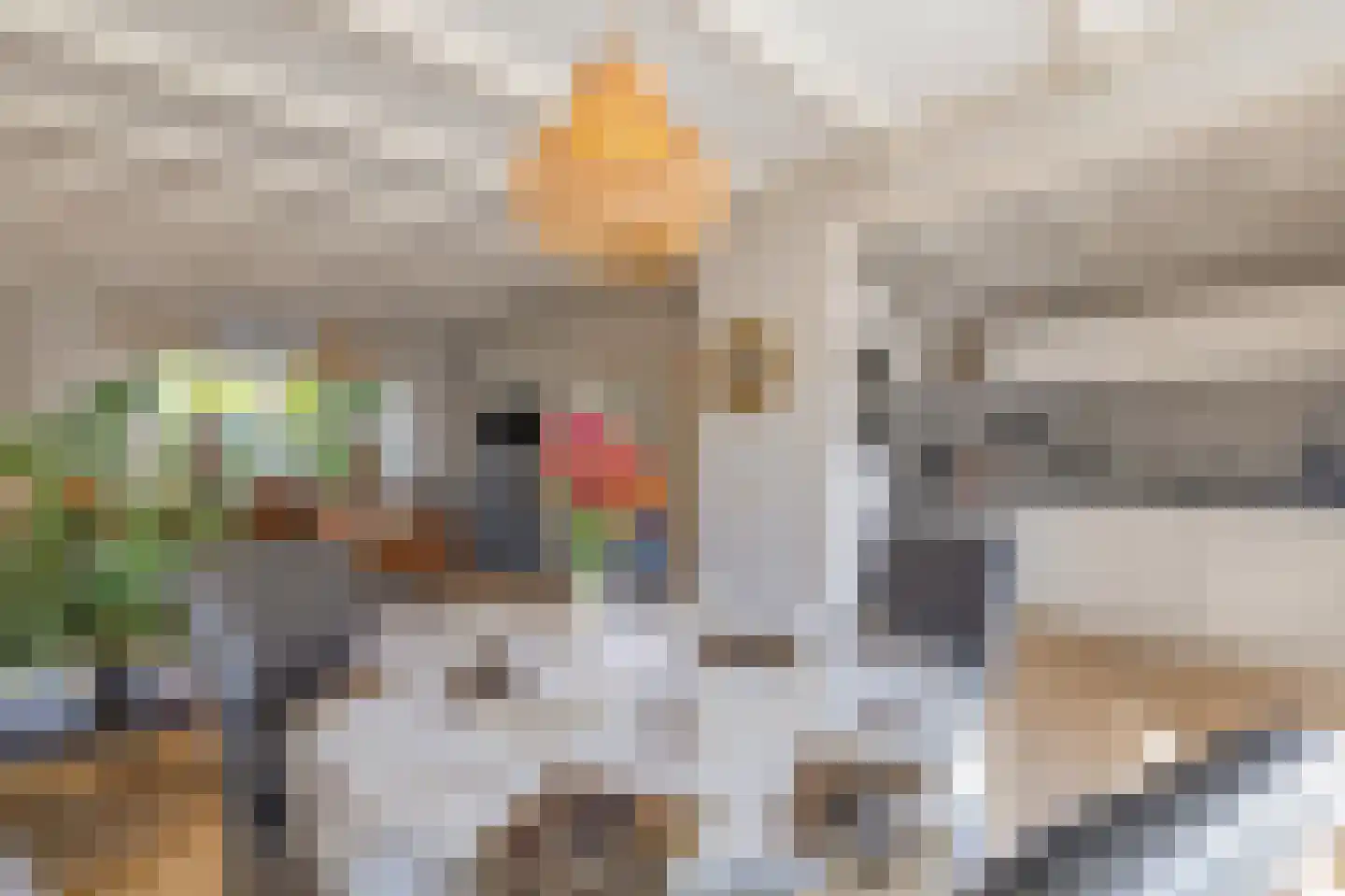 Nachtegaalstraat 4 Warmenhuizen thumbnail 15