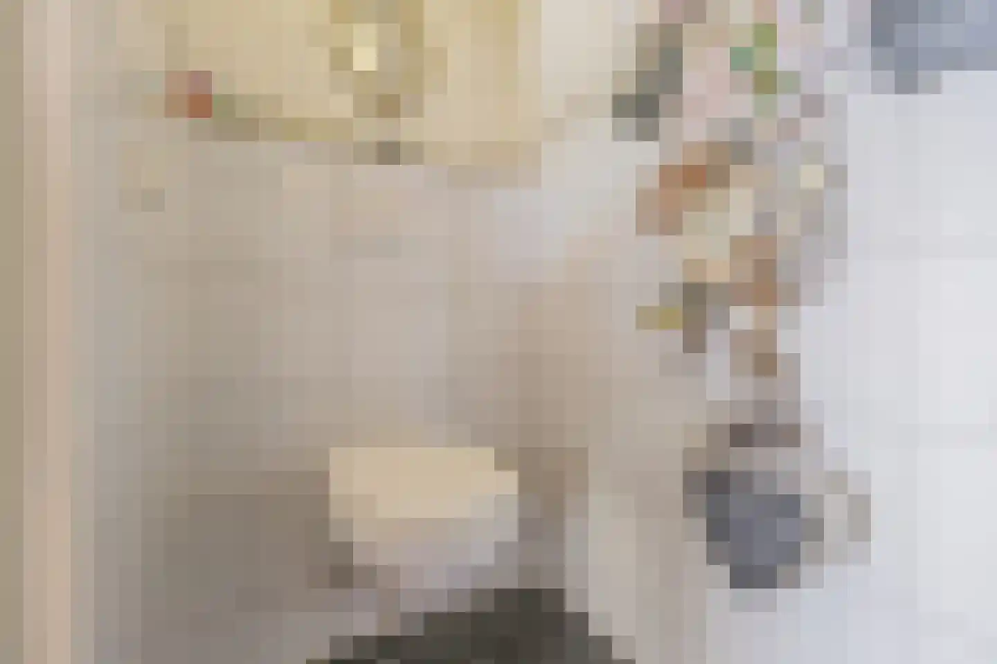 Nachtegaalstraat 4 Warmenhuizen thumbnail 20