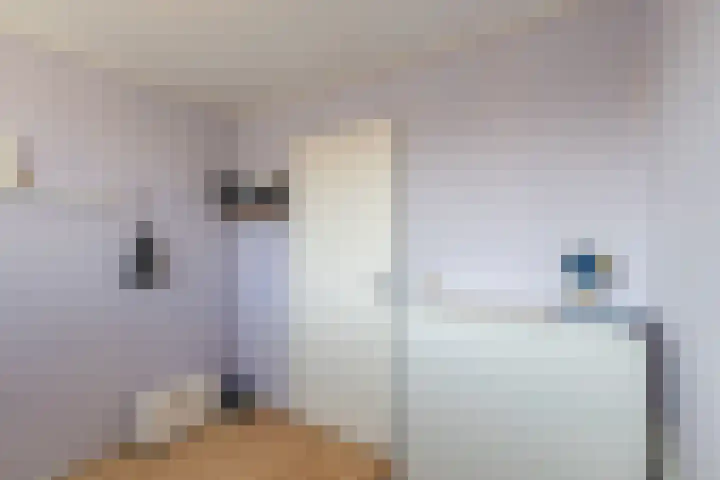 Nachtegaalstraat 4 Warmenhuizen thumbnail 28
