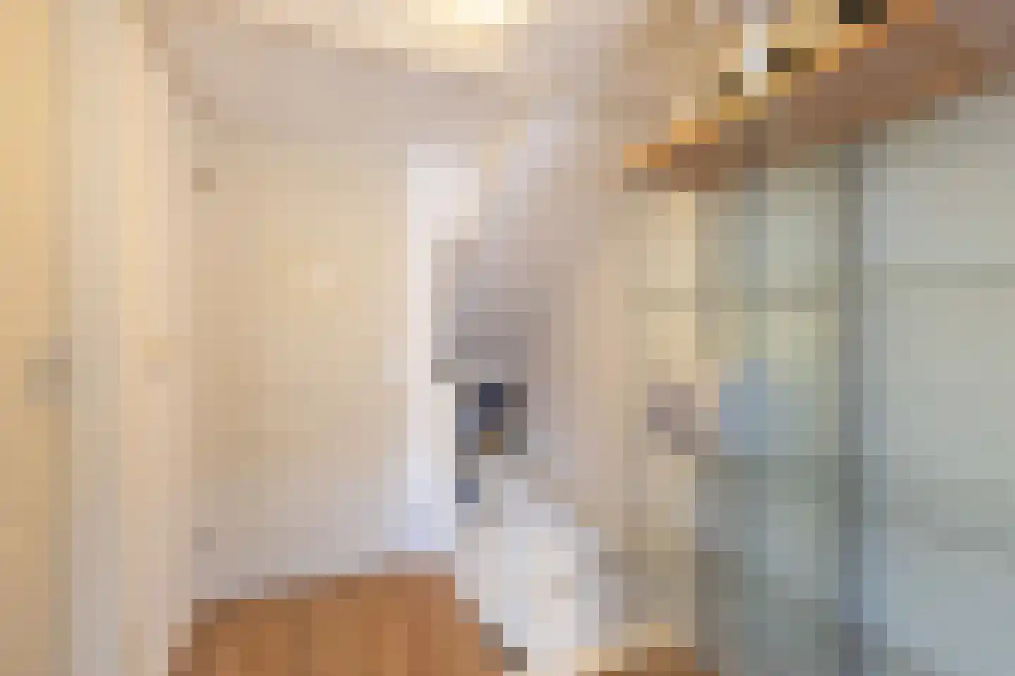 Nachtegaalstraat 4 Warmenhuizen thumbnail 34