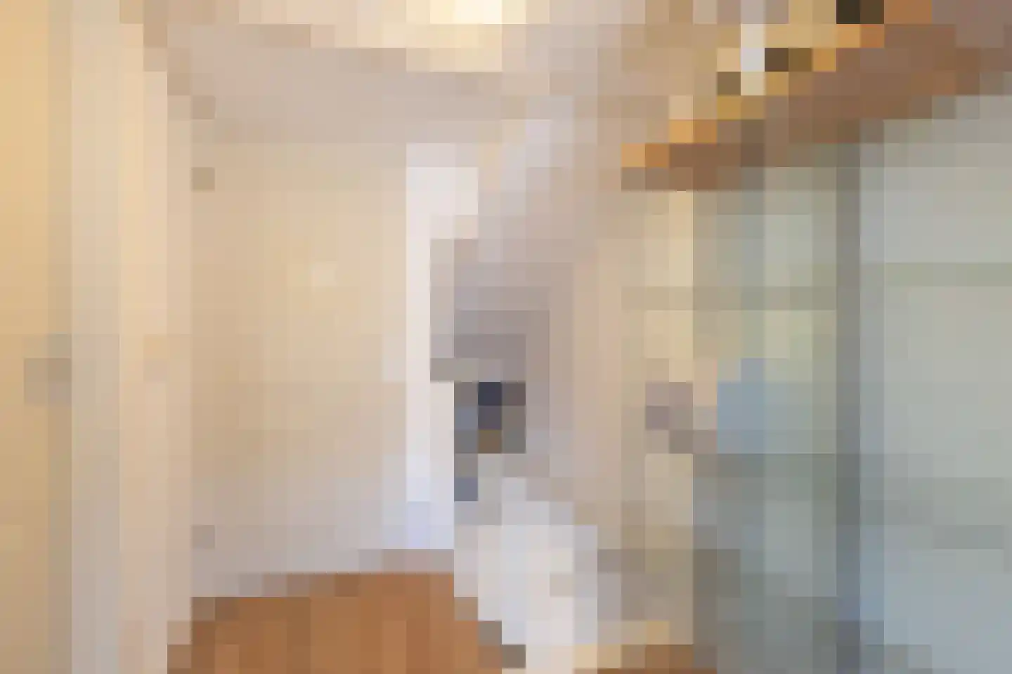 Nachtegaalstraat 4 Warmenhuizen thumbnail 36