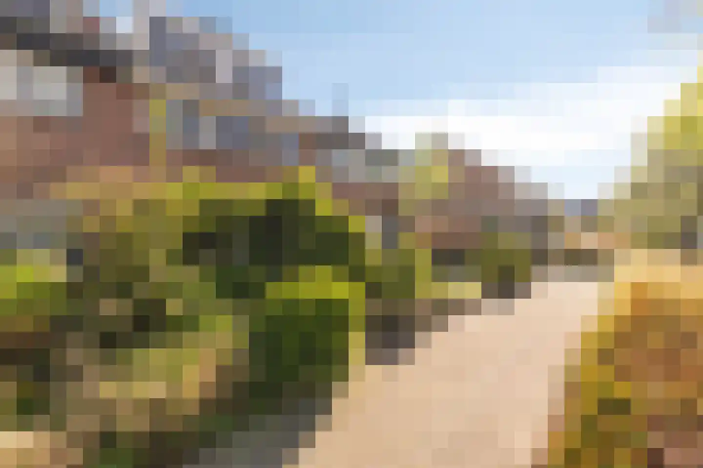 Nachtegaalstraat 4 Warmenhuizen thumbnail 5