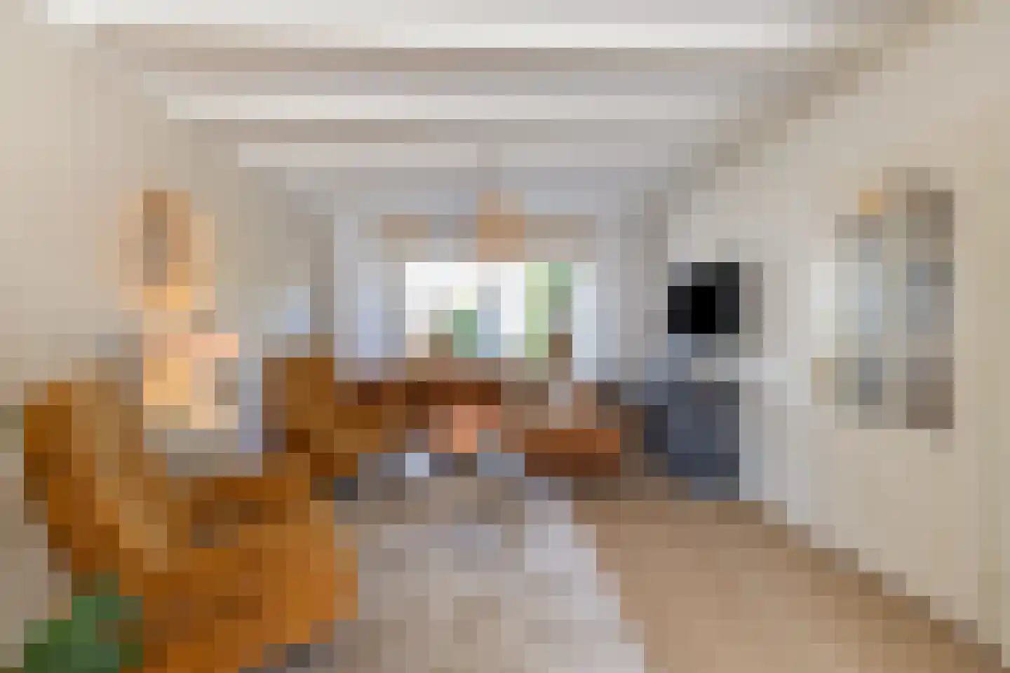 Nachtegaalstraat 4 Warmenhuizen thumbnail 9