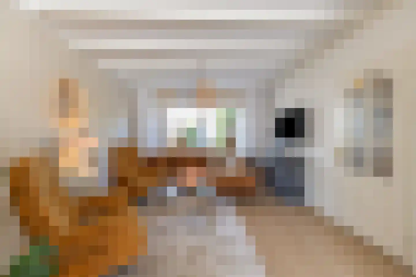 Nachtegaalstraat 4 Warmenhuizen thumbnail 9