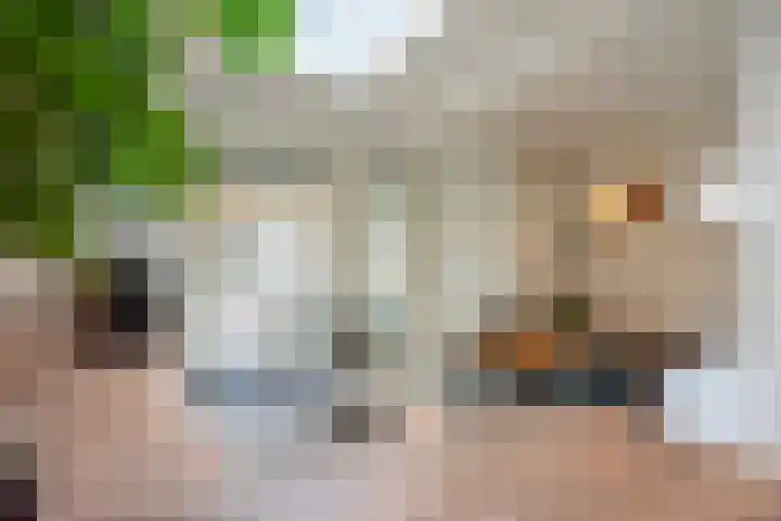 Nachtegaalstraat 40 Geleen thumbnail 20