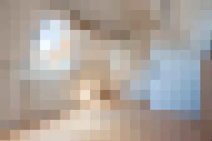 Nachtegaalstraat 40 Geleen thumbnail 30