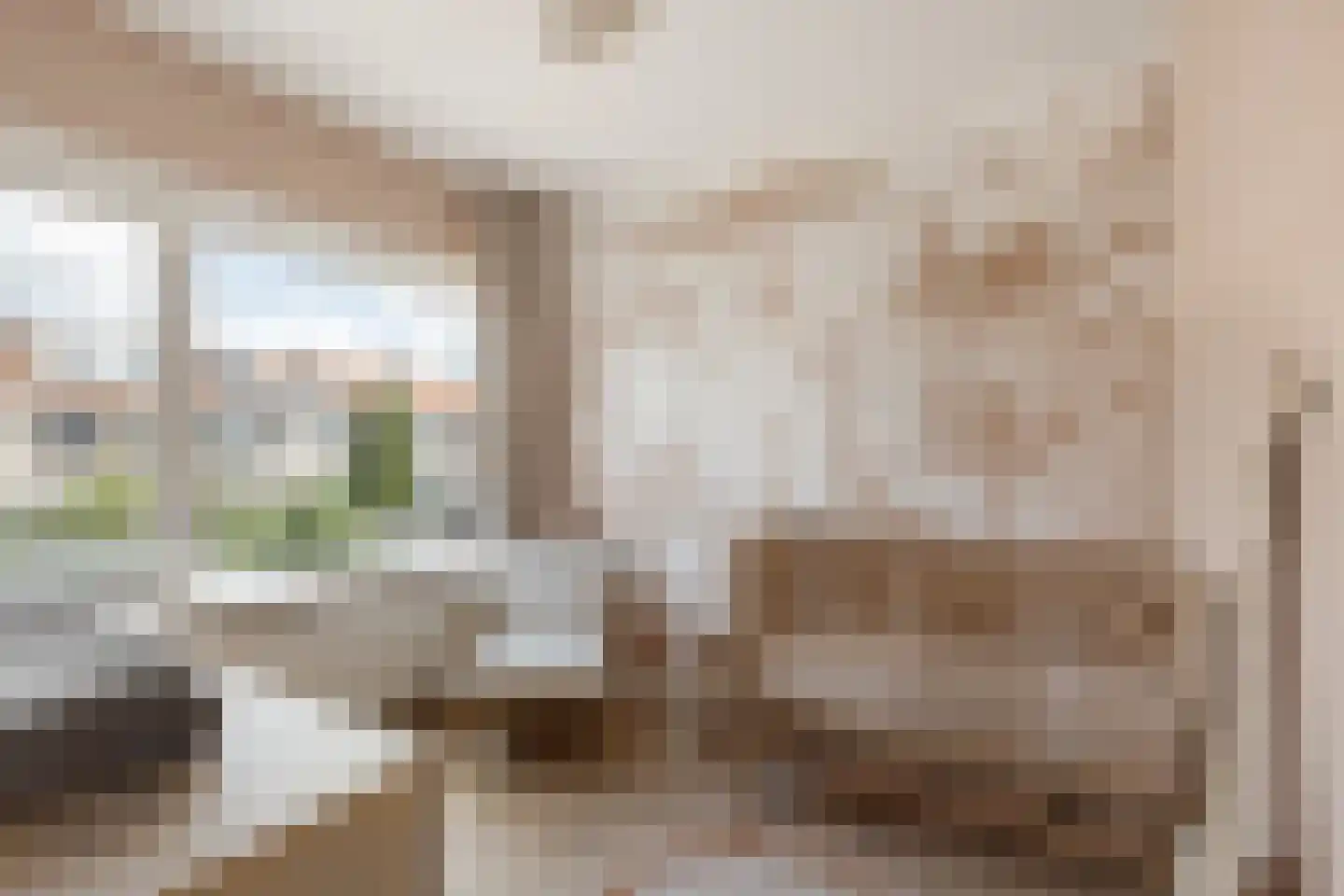Nachtegaalstraat 43 Haarlem thumbnail 22