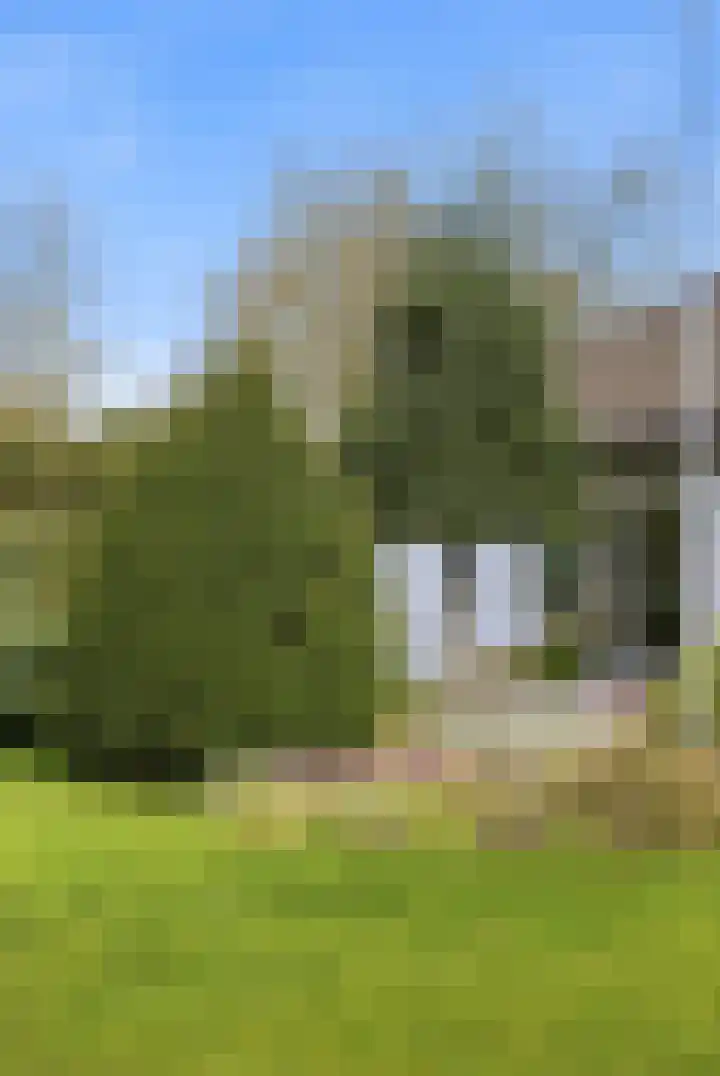 Nachtegaalstraat 44 Eefde thumbnail 36