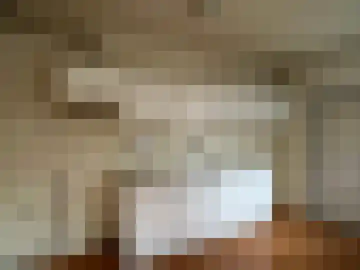Nachtegaalstraat 44 Middenbeemster thumbnail 11