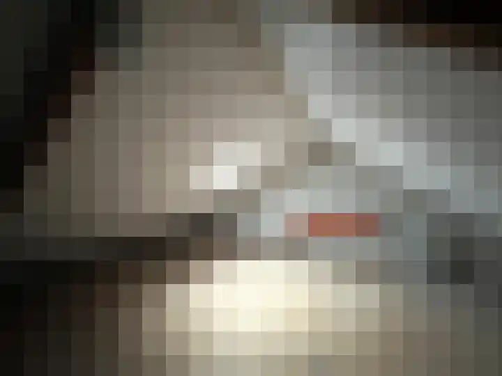 Nachtegaalstraat 44 Middenbeemster thumbnail 22