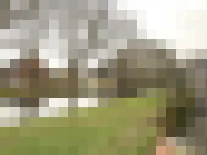 Nachtegaalstraat 44 Middenbeemster thumbnail 25