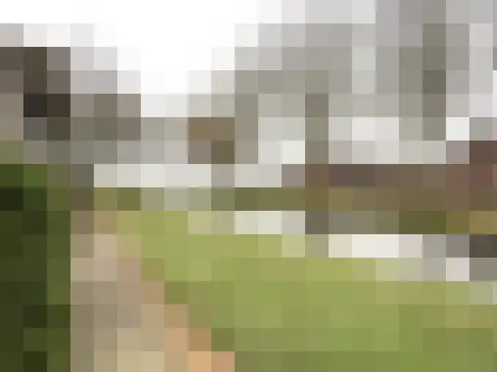 Nachtegaalstraat 44 Middenbeemster thumbnail 4