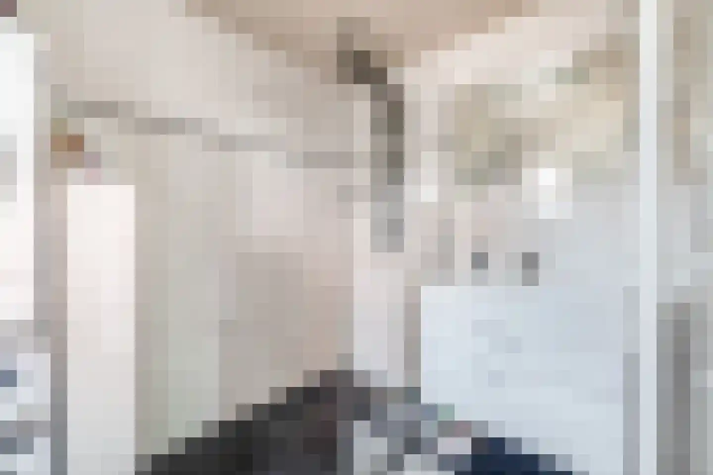 Nachtegaalstraat 5 Tegelen thumbnail 11