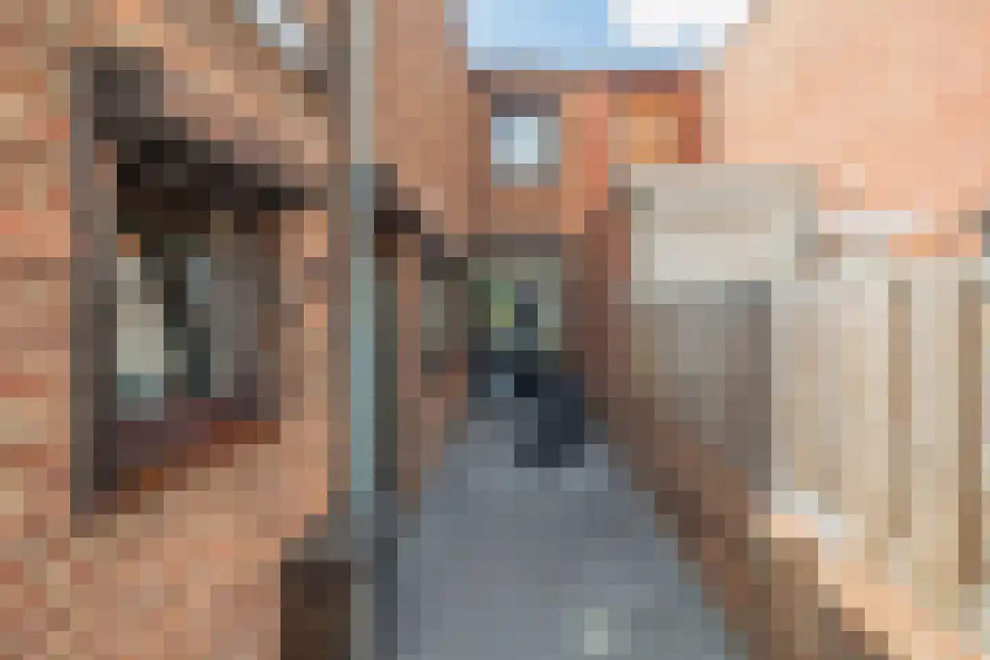 Nachtegaalstraat 5 Tegelen thumbnail 18