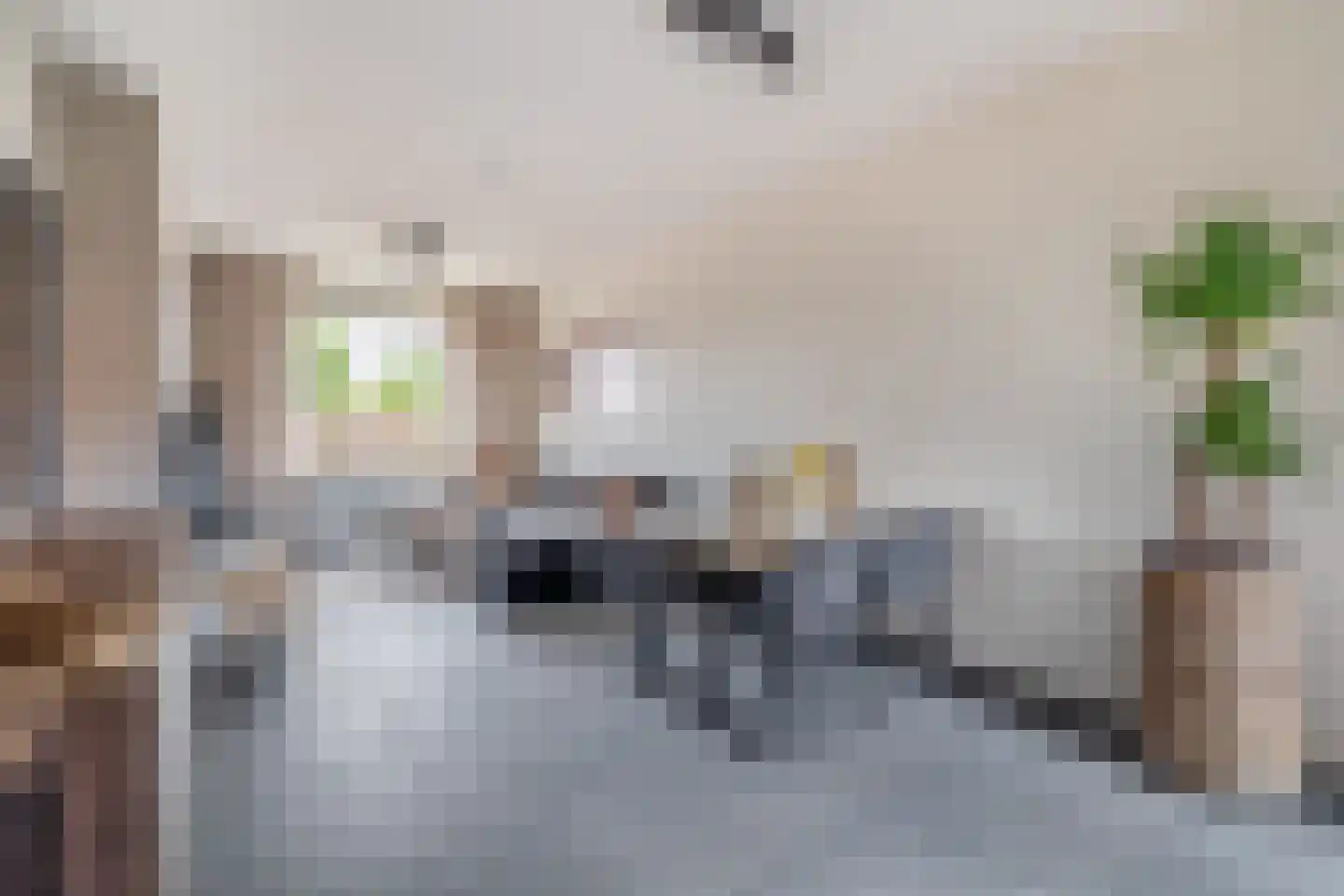 Nachtegaalstraat 5 Tegelen thumbnail 7