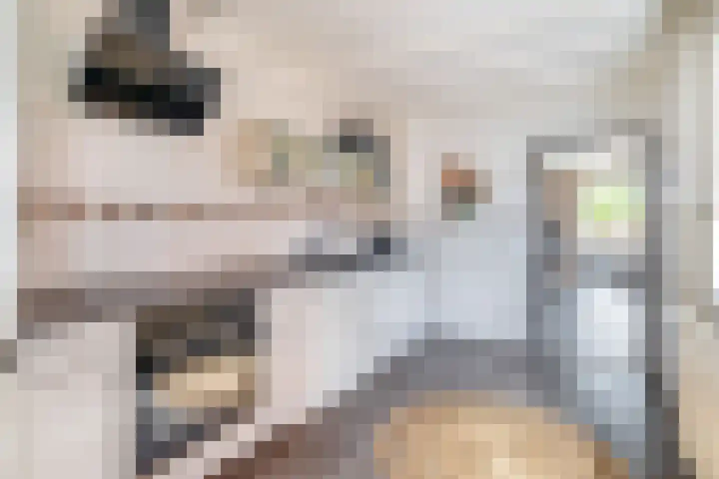 Nachtegaalstraat 5 Tegelen thumbnail 9