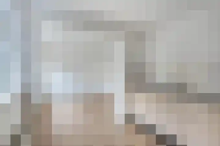Nachtegaalstraat 5 Wolvega thumbnail 16
