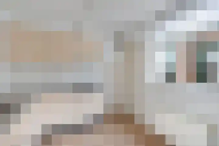 Nachtegaalstraat 5 Wolvega thumbnail 17