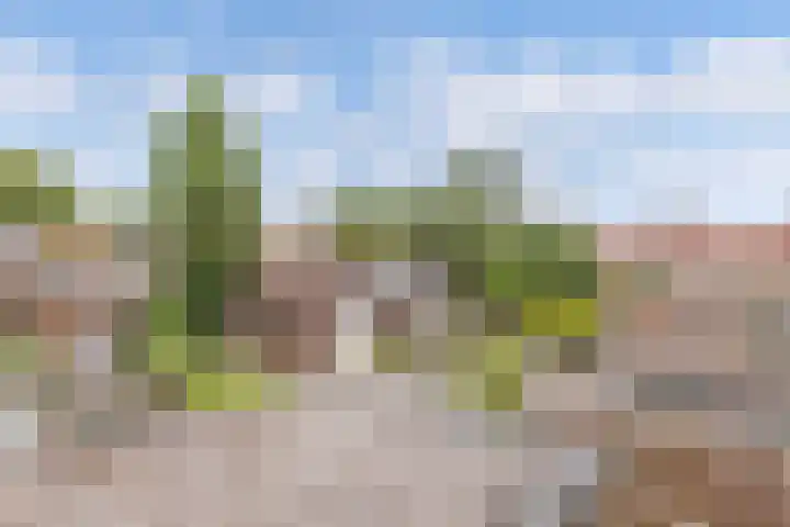Nachtegaalstraat 5 Wolvega thumbnail 28