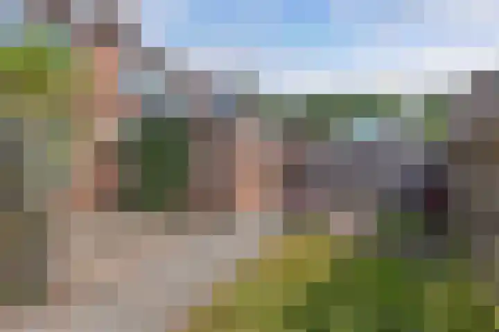 Nachtegaalstraat 5 Wolvega thumbnail 33