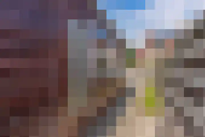 Nachtegaalstraat 5 Wolvega thumbnail 38